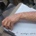 Severed_Forearm_Prop