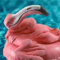 Let_Yourself_Flamingo